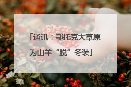 通讯：鄂托克大草原为山羊“脱”冬装