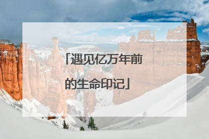遇见亿万年前的生命印记
