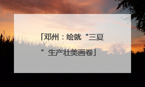 邓州：绘就“三夏”生产壮美画卷