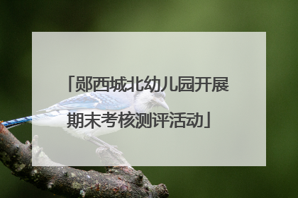 郧西城北幼儿园开展期末考核测评活动