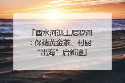 酉水河遇上尼罗河：保靖黄金茶、村厨“出海”启新途