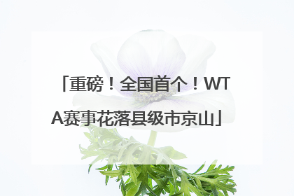 重磅！全国首个！WTA赛事花落县级市京山