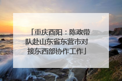 重庆酉阳：陈政带队赴山东省东营市对接东西部协作工作