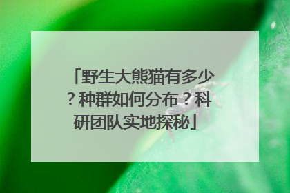 野生大熊猫有多少？种群如何分布？科研团队实地探秘