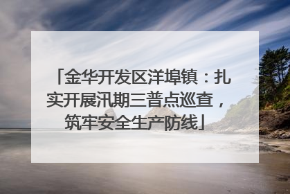 金华开发区洋埠镇：扎实开展汛期三普点巡查，筑牢安全生产防线