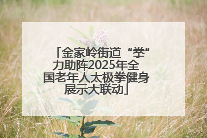 金家岭街道“拳”力助阵2025年全国老年人太极拳健身展示大联动