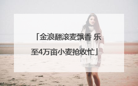 金浪翻滚麦飘香 乐至4万亩小麦抢收忙