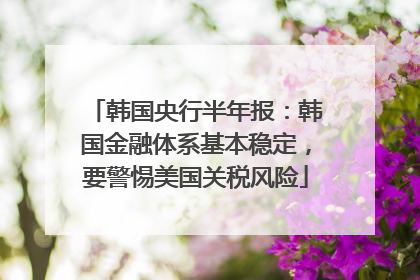 韩国央行半年报：韩国金融体系基本稳定，要警惕美国关税风险