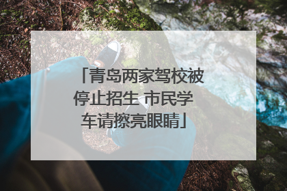 青岛两家驾校被停止招生 市民学车请擦亮眼睛