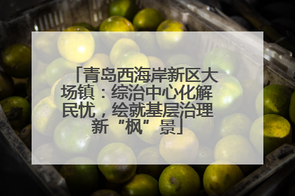 青岛西海岸新区大场镇：综治中心化解民忧，绘就基层治理新“枫”景
