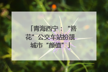 青海西宁：“簪花”公交车站扮靓城市“颜值”