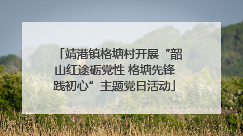靖港镇格塘村开展“韶山红途砺党性 格塘先锋践初心”主题党日活动