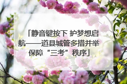 静音键按下 护梦想启航——道县城管多措并举保障“三考”秩序