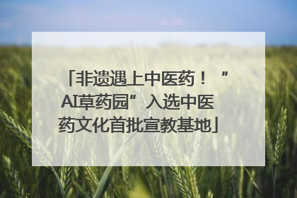 非遗遇上中医药！“AI草药园”入选中医药文化首批宣教基地