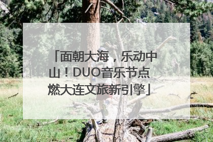 面朝大海，乐动中山！DUO音乐节点燃大连文旅新引擎