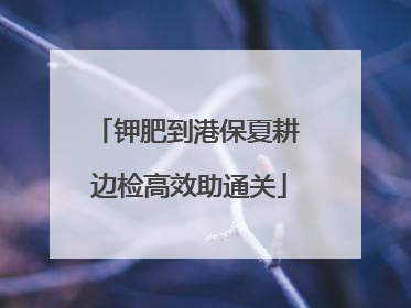 钾肥到港保夏耕 边检高效助通关