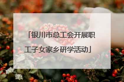 银川市总工会开展职工子女家乡研学活动