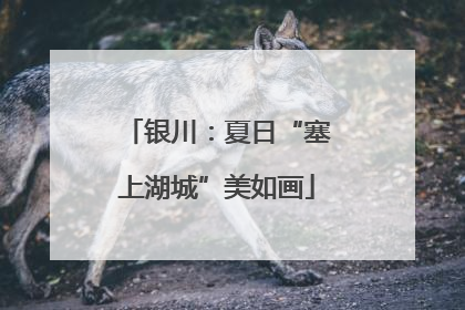 银川：夏日“塞上湖城”美如画