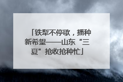 铁犁不停歇，播种新希望——山东“三夏”抢收抢种忙