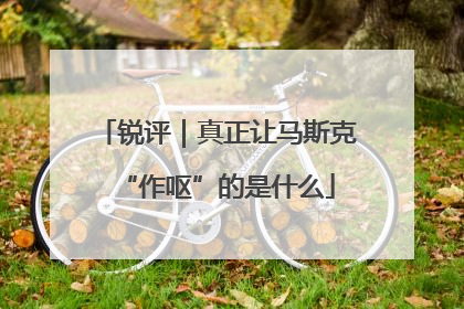 锐评｜真正让马斯克“作呕”的是什么