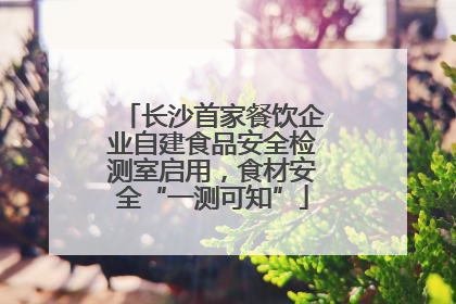 长沙首家餐饮企业自建食品安全检测室启用，食材安全“一测可知”