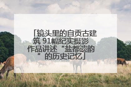 镜头里的自贡古建筑 91幅纪实摄影作品讲述“盐都遗韵”的历史记忆