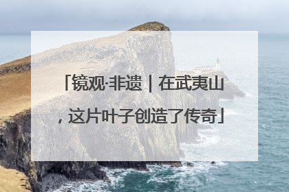 镜观·非遗｜在武夷山，这片叶子创造了传奇