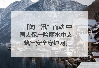 闻“汛”而动 中国太保产险丽水中支筑牢安全守护网