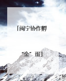 闽宁协作孵“金”蛋