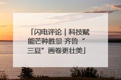 闪电评论｜科技赋能芒种胜景 齐鲁“三夏”画卷更壮美