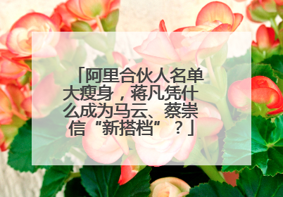 阿里合伙人名单大瘦身，蒋凡凭什么成为马云、蔡崇信“新搭档”？