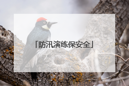 防汛演练保安全