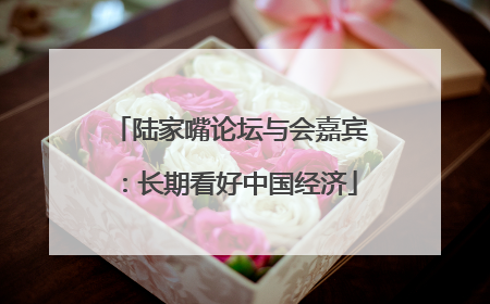 陆家嘴论坛与会嘉宾：长期看好中国经济