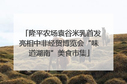 隆平农场袁谷米乳首发亮相中非经贸博览会“味道湖南”美食市集