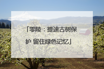 零陵：提速古树保护 留住绿色记忆