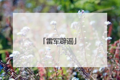 雷军辟谣