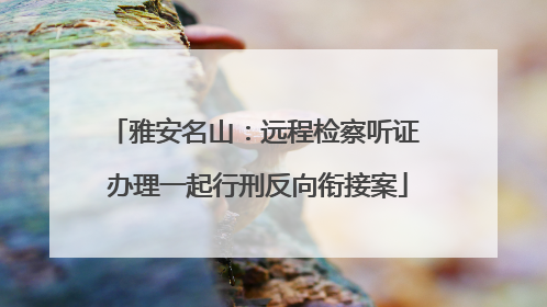 雅安名山：远程检察听证 办理一起行刑反向衔接案
