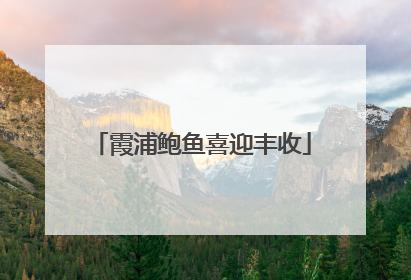 霞浦鲍鱼喜迎丰收