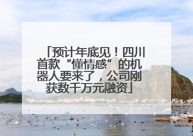 预计年底见！四川首款“懂情感”的机器人要来了，公司刚获数千万元融资