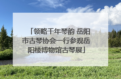领略千年琴韵 岳阳市古琴协会一行参观岳阳楼博物馆古琴展