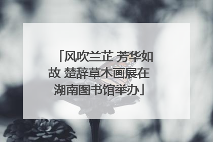风吹兰芷 芳华如故 楚辞草木画展在湖南图书馆举办