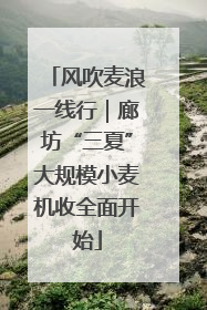 风吹麦浪一线行｜廊坊“三夏”大规模小麦机收全面开始