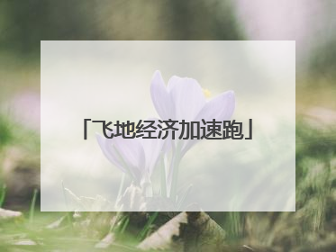 飞地经济加速跑