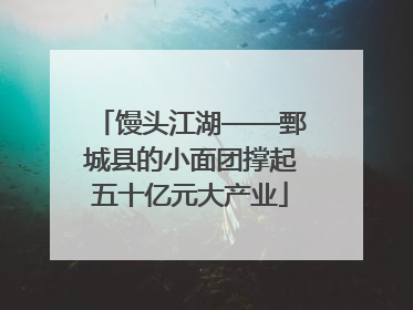馒头江湖——鄄城县的小面团撑起五十亿元大产业