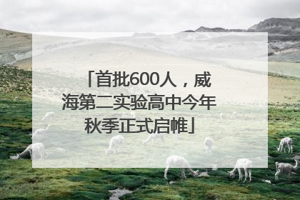 首批600人，威海第二实验高中今年秋季正式启帷