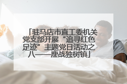 驻马店市直工委机关党支部开展“追寻红色足迹”主题党日活动之八——鏖战独树镇