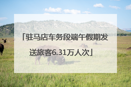 驻马店车务段端午假期发送旅客6.31万人次