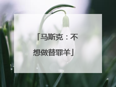 马斯克：不想做替罪羊