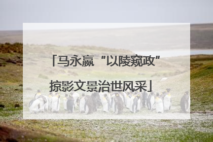 马永嬴“以陵窥政” 掠影文景治世风采