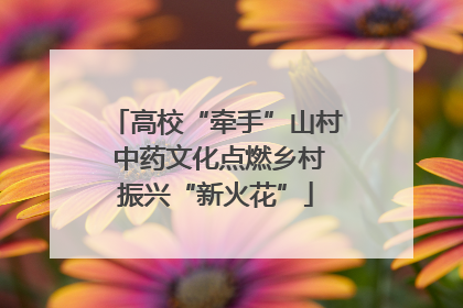 高校“牵手”山村 中药文化点燃乡村振兴“新火花”